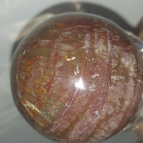 Petrified wood Egg - Picture 5 of 5